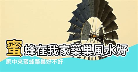 築巢 風水|鳥巢風水：居家好運密碼